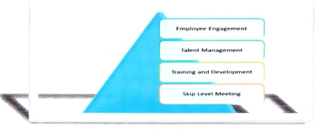 Figure 5: organizational development of HR 