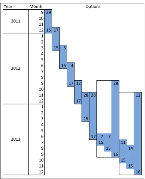 Figure 2. Options Maturities 