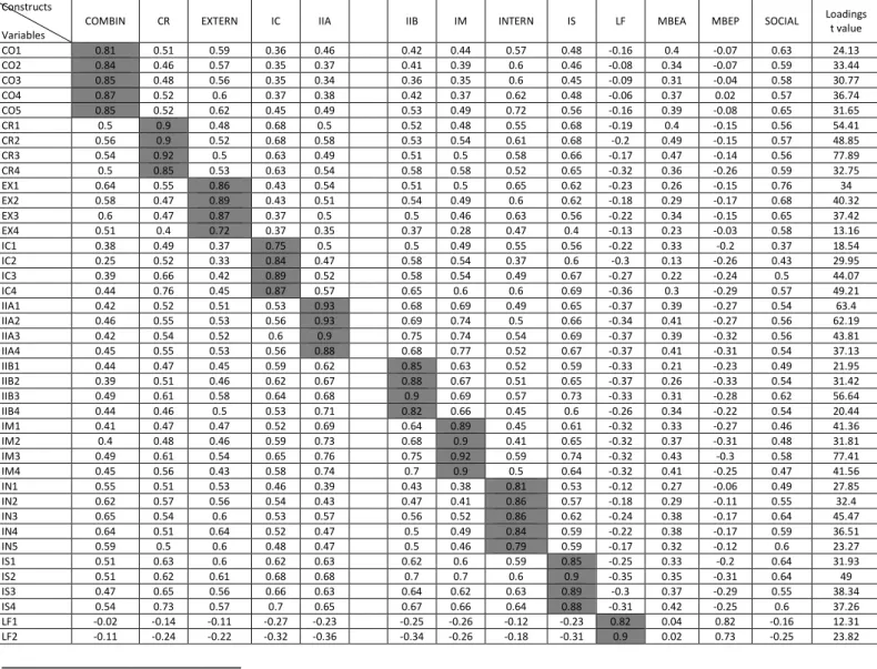 Table 5. 10 Loadings (in grey) and cross-loadings in final structural model