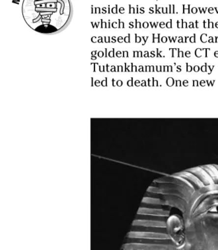 Figure 4-3:The Tutan-