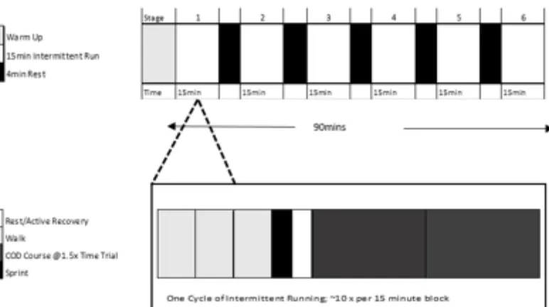Figure 2. The adjusted, non-linear Loughborough Intermittent Shuttle Test (LIST), based on 