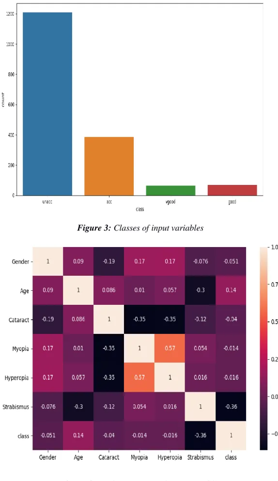 Figure 3: Classes of input variables 