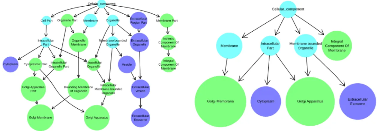 Fig. 2.2 Plot of terms descending from the cellular_component term in the GO, ex- ex-tracted using the exclude_descendants function from ontologyIndex, for genes QPCTL and CRNN using ontologyPlot
