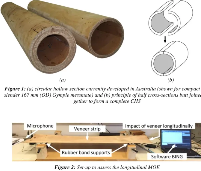 Figure 2: Set-up to assess the longitudinal MOE 567 