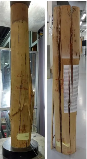 Figure 13: Compression tests failure modes, (a) local buckling of the wall for the compact sections 620 