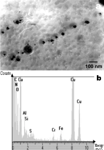 Figure 4. (a) Alignment of AlN precipitates and (b) XEDS spectrum. 