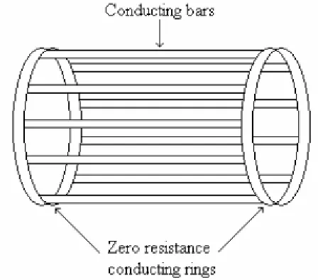 Figure 2.3: The rotor of AC induction motor 