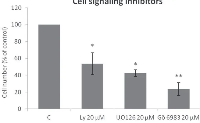 Figure 3: Specific Trk pathway inhibitors reduce SK-ES-1 cell growth. Cell proliferation, accessed by cell counting (n = 3), was reduced after 72-h treatment with 20 μM LY294002 (PI3K inhibitor; p < .05), UO 126 (MAPK inhibitor p < .05), or Gö 6983 (PLCγ/PKC inhibitor; p < .01) compared to controls.