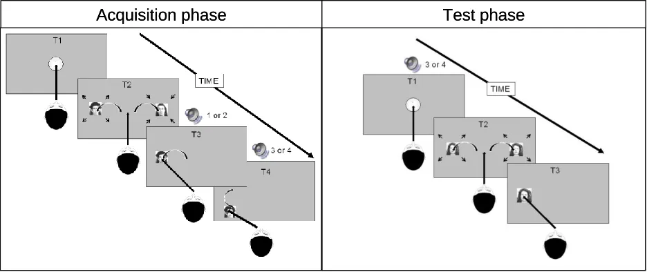 Figure 2. Acquisition trial.: Each trial starts with an intertrial interval of 500 ms