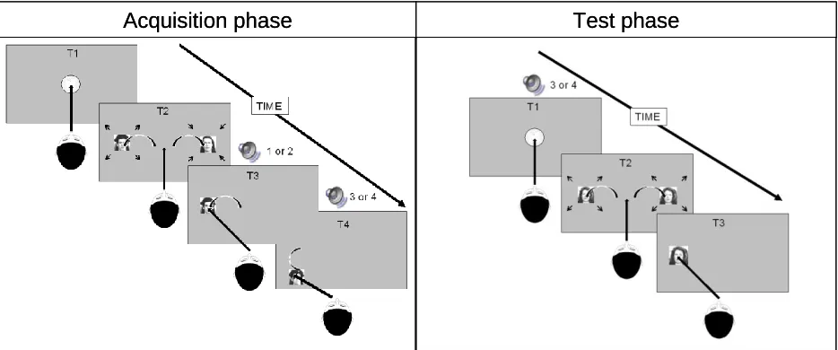 Figure 2. Acquisition trial.: Each trial starts with an intertrial interval of 500 ms