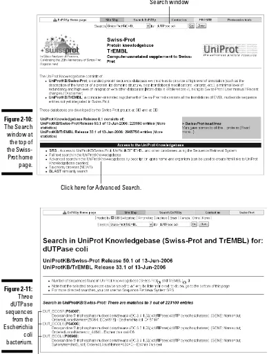 Figure 2-10:The Search