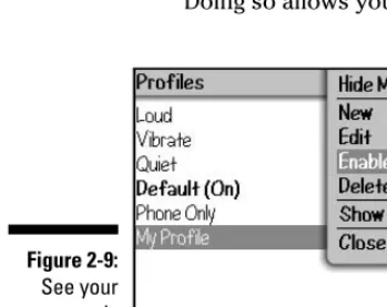 Figure 2-9:See your
