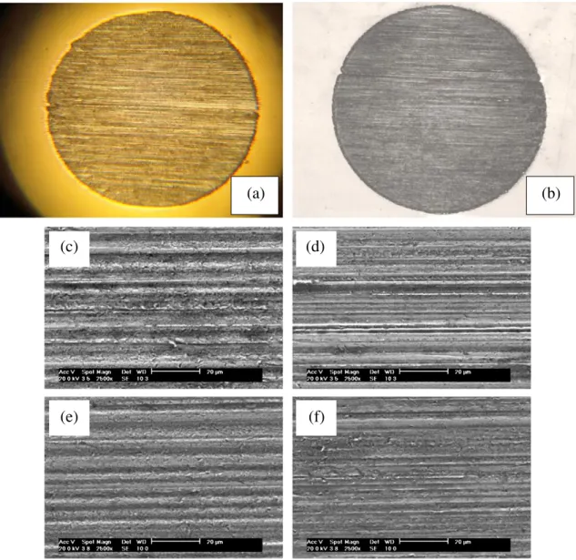 Fig. 6. Wear craters obtained in the experiments. (a) AISI D2 tool steel with TiN and (b) AISI D2 tool steel with TiC; images obtained with Optical Microscope, where it is possible to note only the occurrence of grooving abrasion