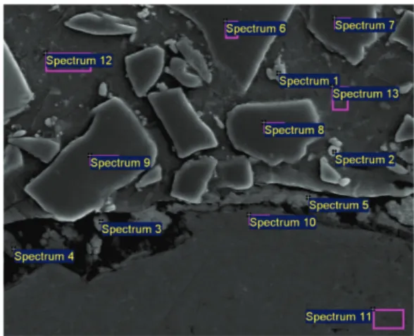 Figure 5 Selected and measured regions using EDS analyses of TiC  cladded surface 