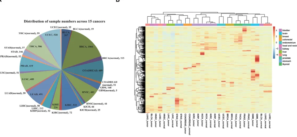 Figure 1: Overview of all specimens and lncRNAs. A. Distributions of all specimens across 15 cancer types