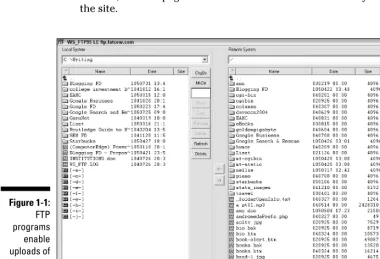 Figure 1-1:FTP