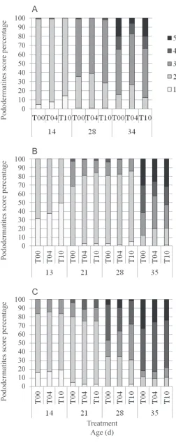 Figure 2. Effect of transportation duration on pododermatitis for 35- (A), 45- (B), and 56-wk-old (C) breeders
