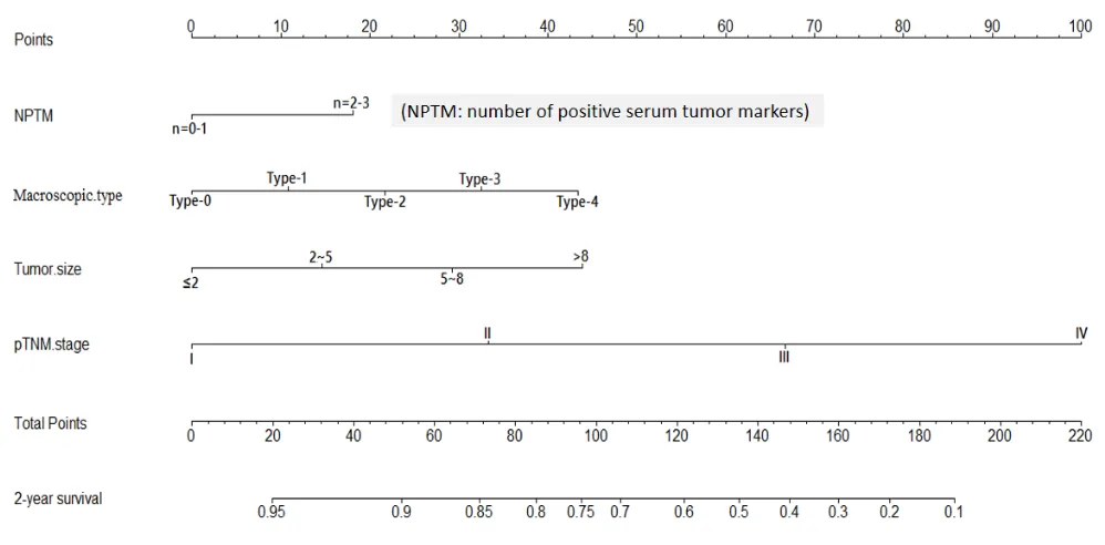 Figure 5: Nomogram of NPtM and clinicopathological traits in the validation cohort