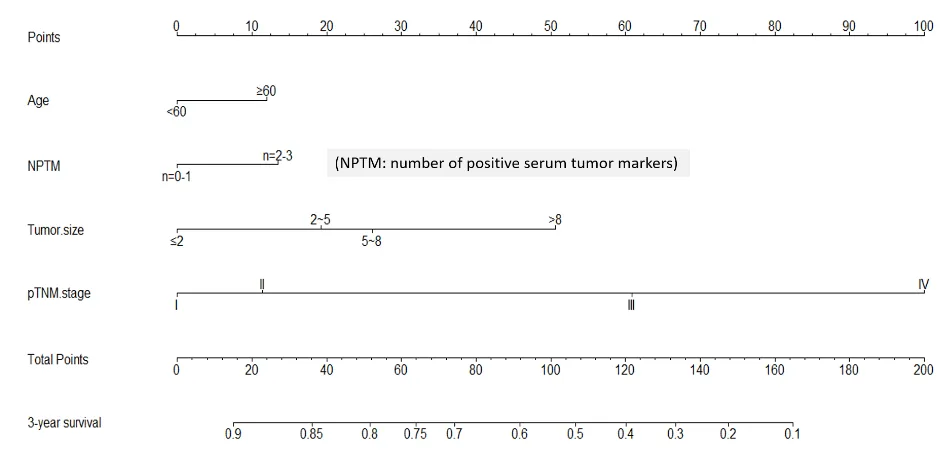 table 5: Multivariate analysis of preoperative serum tumor makers with clinicopathological traits in the training and the validation cohorts