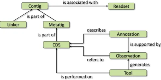 Figure 5.2: A schematic representation of the main data objects for the storage of contigs and their annotations: The data model in MetaSAMS is basically derived from GenDB