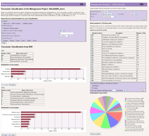 Figure 5.6: Visualization of the results obtained by the read- or contig-based analysis pipelines: (a) Taxonomic profiles are illustrated in tables and bar charts, (b) whereas functional profiles are shown in tables, bar and pie charts.