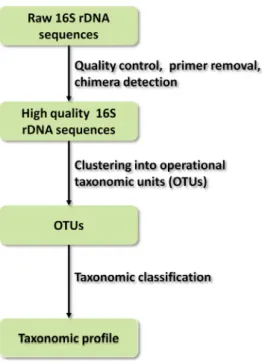 Figure 5.9: Overview of the pipeline for the analysis of 16S rDNA amplicon sequences: