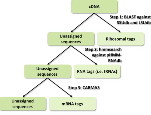 Figure 5.10: Steps involved in the metatranscriptomic MeTra pipeline: The pipeline iden- iden-tifies rRNA tags, remaining RNA tags and mRNA tags in three different steps.