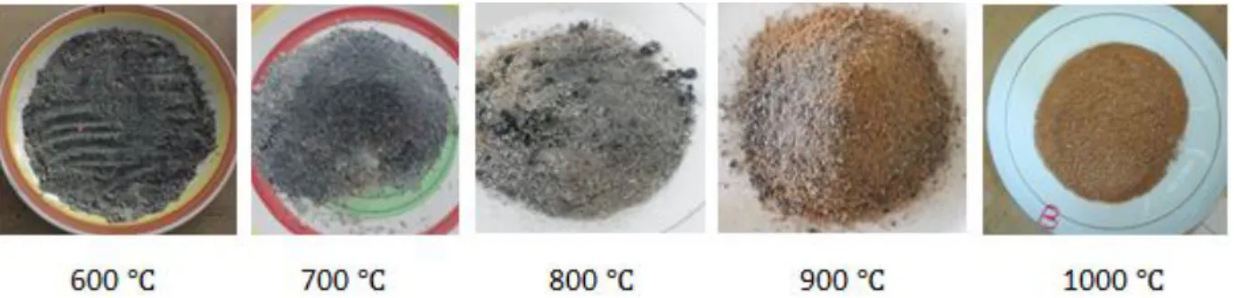 Figure 5: The NSHA produced at different calcination temperatures  3.3.2  Characterization of Neem Seem Husk Ash 