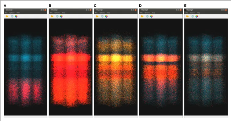 FIGURe 7 | simPart’s spatio-temporal visualization of the test data at different time steps (labeled below each subfigure)