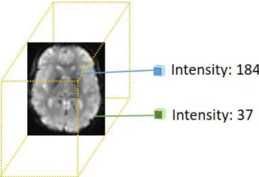 Figure 2.2: The attributes of a single volumetric image within the fMRI temporal sequence