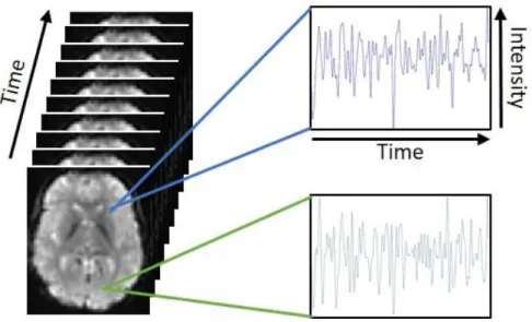 Figure 2.3: Illustration of the temporal aspect of fMRI. Each voxel has an intensity value  at each time point which creates a time series of activity