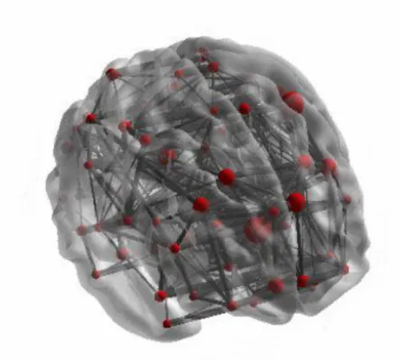 Figure 4.1: Example node-link diagram combined with a 3D anatomy of the brain, created  in  BrainNet  Viewer  [81]