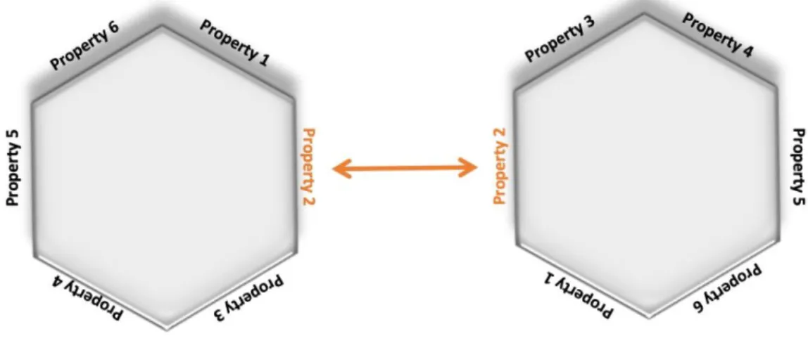 Figure 2: Hex-element with six attributes and six sides 