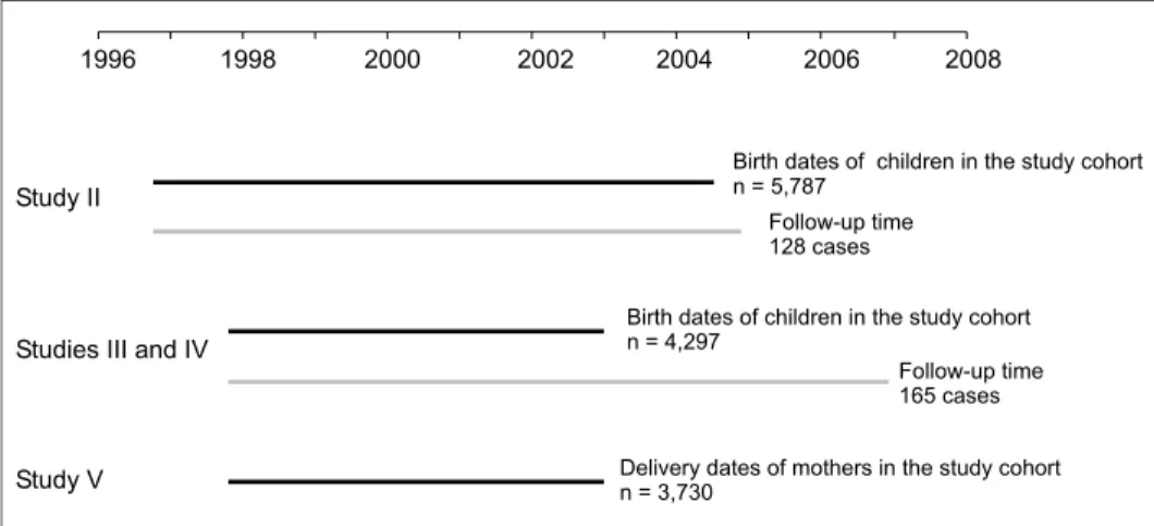 Figure 1.  dIpp Nutrition study: Illustration of the data sets of studies II–v.