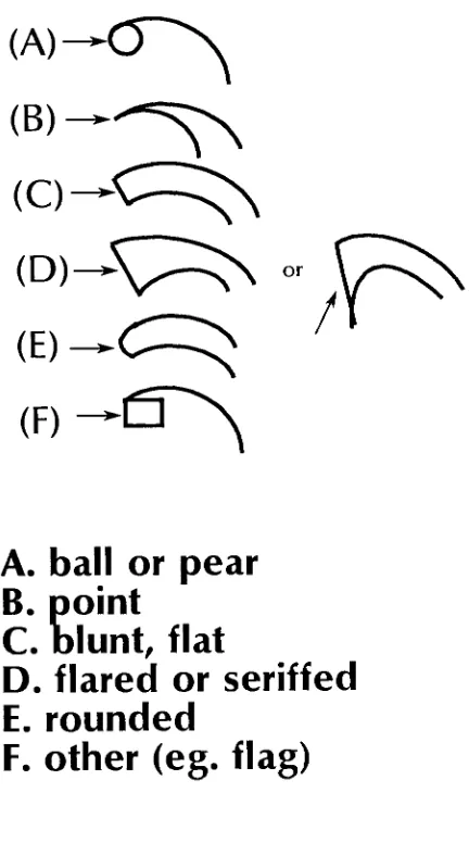 FIGURE  "2"QUESTION #1