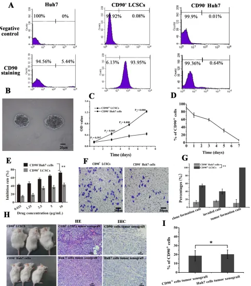 Figure 3: the stem characteristics of Lcscs. A.cells. (mean ± SD, Abbreviations: LCSCs, live cancer stem cells; DMEM/F12, Dulbecco’s Modified Eagle Media: Nutrient Mixture F-12; CD90, cluster of by CCK-8 assay (mean ± SD,  The expression rates of CD90 in u