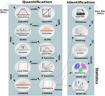 Fig  2.  Diagram  of  scalability-testing  on  a  metabolomics  dataset  (MetaboLights  ID: 