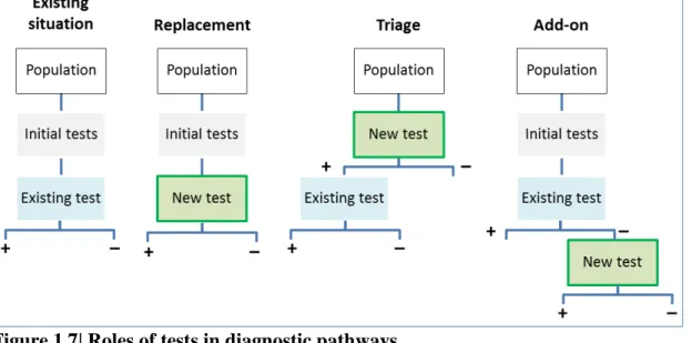 Figure 1.7| Roles of tests in diagnostic pathways    (Adapted from Bossuyt et al 2006 60 ) 