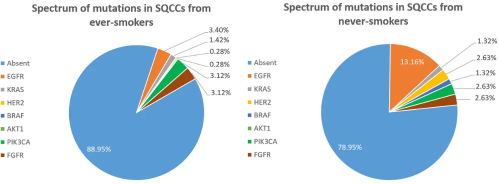 Figure 1: Spectrum of mutations in SQCCs from never-smokers (A) and ever-smokers (B). 