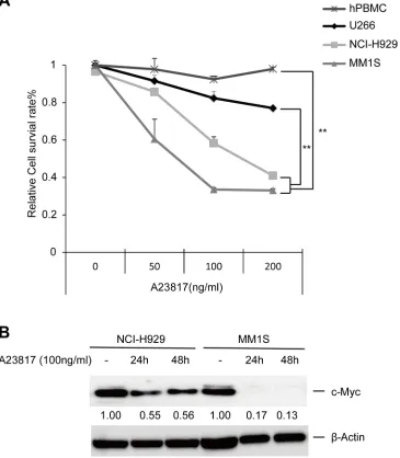 Figure 5: Increasing levels of cytoplasmic ca2+ induce cell death and c-Myc downregulation in MM cells