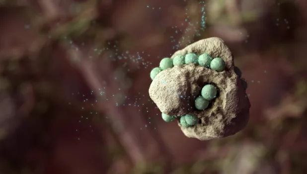 Figure 1.1: A still image from The Hungry Microbiome (2014). Animation and narration by Christopher Hammang