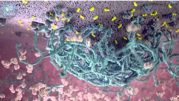 Figure 3.1: A still image from Alzheimer’s Enigma. Animation and narration by Christopher Ham- mang.