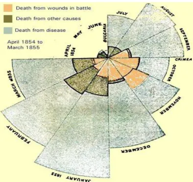 Figure  ‎ 2.6 A coxcomb chart 