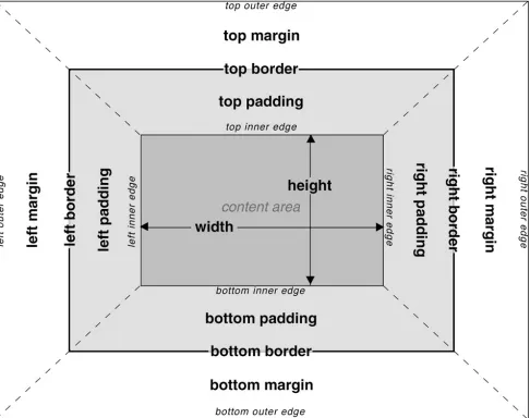 Figure 1-2: The CSS box model  