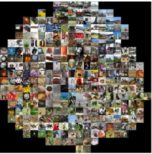 Fig. 6. t-SNE visualization of images, using their Convolutional Neural Network fea- fea-tures