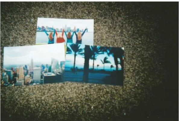 Fig. 6 Nostalgia Holiday 