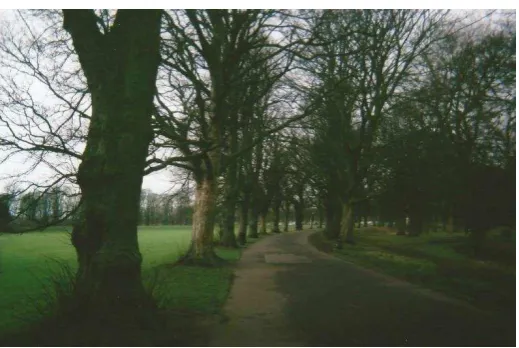 Fig. 7 Nostalgia Country Walks  