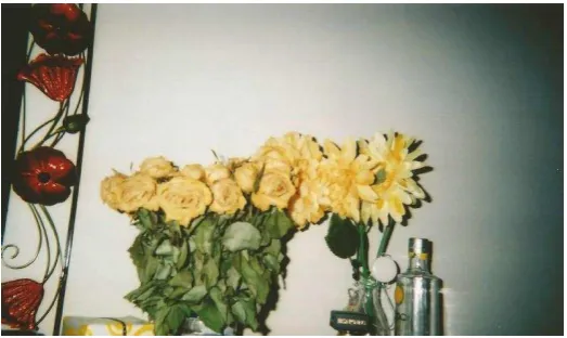 Fig. 12 Acceptance in negativity Flowers 