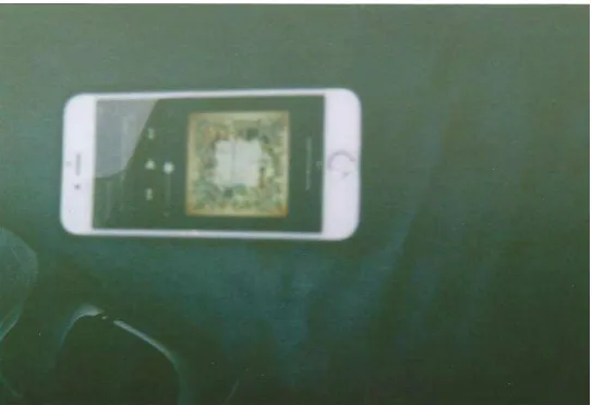 Fig. 2 Accessibility Phone  