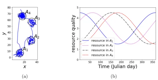 Figure 1.4: A simulated trajectory in a patchy landscape. (a) A simulation of migration gener- gener-ated on the assumption that the animal moves in response to the change of resource qualities in food patches